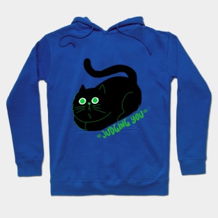 This Cat Is Silently Judging You Hoodie